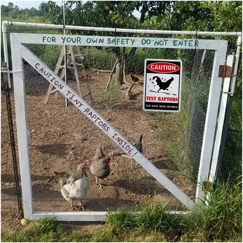 Vista 6 de GLOBLELAND Paquete de 2 letreros de aluminio para gallinero de cocina de granja, gallinero, decoración de gallina, gallinero, cuidado con el pollo