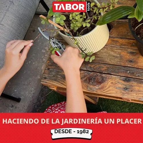 Vista 6 de TABOR TOOLS S834A Tijeras de podar de derivación para manos medianas a grandes, cuchillas de acero inoxidable con capacidad de corte de 3/4
