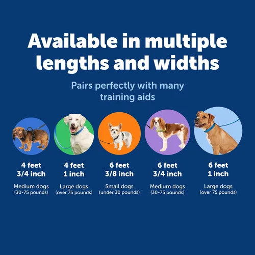 Vista 5 de PetSafe - Correa de nailon para mascotas - Correa resistente a la masticación para entrenamiento de comportamiento de gatos y perros - Compatible