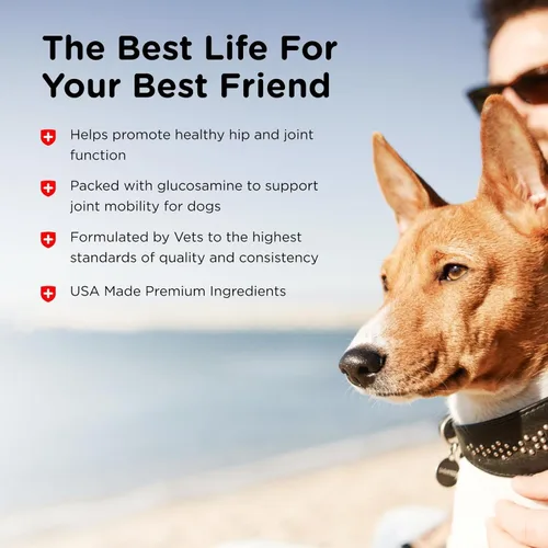Vista 4 de Nutri-Vet Suplementos para perros de fuerza regular para cadera y articulaciones, formulados con glucosamina condroitina, suministros para mascotas