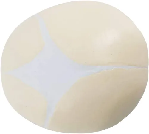 Vista 7 de EVOTECH SCIENTIFIC Modelo de cráneo infantil humano, modelo de cráneo de anatomía fetal de tamaño real para enseñanza médica, herramienta