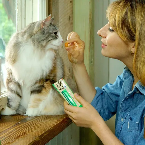 Vista 7 de INABA Churu Bites para Gatos, Golosinas para Gatos Rellenas de Churu Envueltas en Pollo Horneado Suave/Masticable con Vitamina E, 0.35 Onzas por