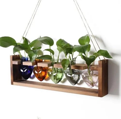 Vista 8 de Estaciones de propagación colgantes de terrario para plantas, regalo para mujeres, soporte para plantas de aire con soporte de madera, cristal