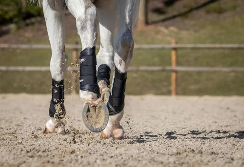 Vista 8 de LeMieux Botas de caballo de fondo - Equipo de protección y equipo de entrenamiento - Botas equinas, envolturas y accesorios