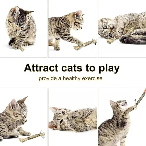 Vista 3 de Natural Silvervine Dental Sticks, Silvervine Sticks for Cats, Cat Chew Toy, Interactive Kitten Chew Playthings for Entertain Teeth Cleaning Dental