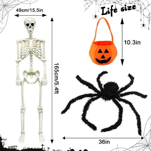 Vista 3 de CAMIRUS Esqueleto de Halloween de 5.4 pies/65.0 in, esqueleto de tamaño real con bolsa de calabaza de araña peluda, huesos humanos de cuerpo