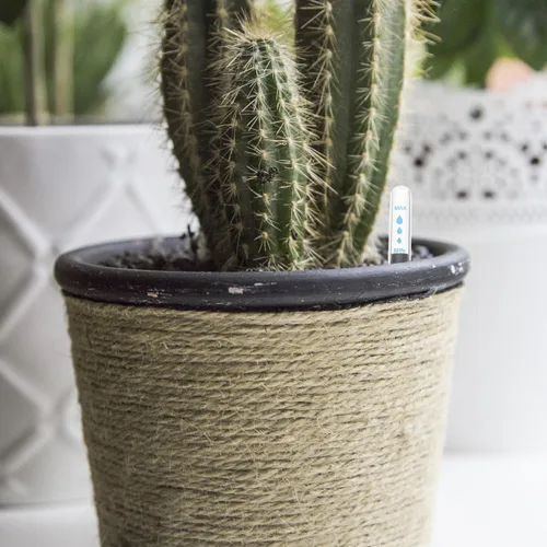 Vista 7 de BESTOYARD Indicador de agua para plantas en macetas para uso en interiores y exteriores, medidor de humedad del suelo con escala transparente