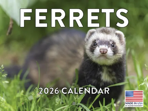 Vista 113 de Calendario mensual de pared de alpaca 2025 Fabricado en Estados Unidos