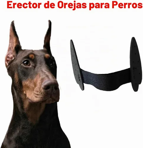 Vista 4 de 2 piezas de herramientas para el cuidado de orejas de perro para mascotas, calcomanías de orejas de perro para perro alemán, doberman pinscher
