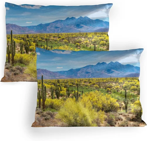Vista 8 de Lunarable Nature Pillow Sham Set of 2, Sunset in a Winter Park Russia Sun Rays Through Trees Pathway to Forest, Quality Microfiber Bedding Item for