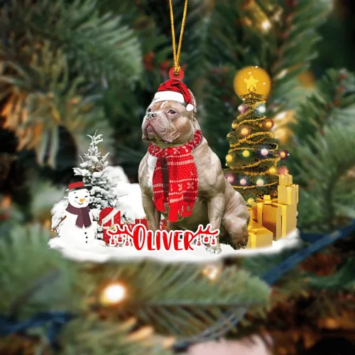 Vista 53 de NAZENTI Adorno personalizado de gato abisinio con árbol de pino, adorno de Navidad personalizado para perros amantes de las mascotas, colgante