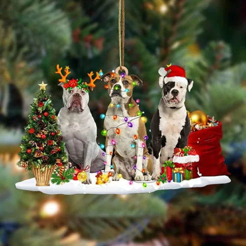 Vista 35 de Nazenti Adorno de Navidad personalizado con amigos Affenpinscher – Adorno de perro personalizado para amantes de las mascotas, acrílico plano
