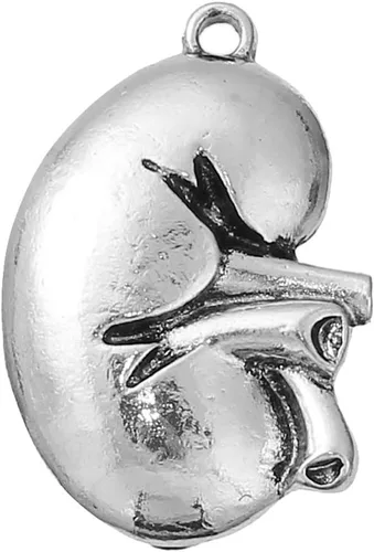 Vista 5 de Sexy Sparkles Medical Anatomical 3D Charm Pendant – Unisex Accessory for Necklaces, Bracelets, and Keychains