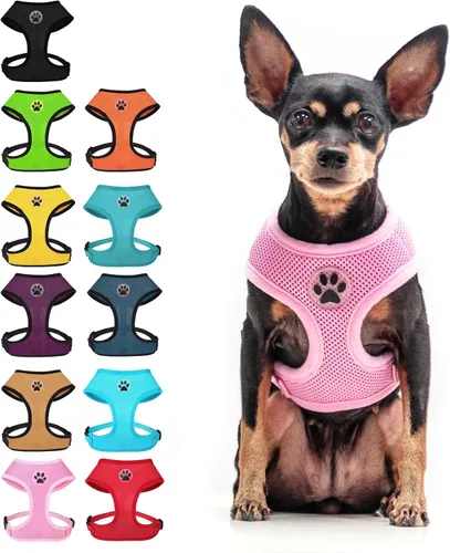 Vista 25 de BINGPET Arnés para perro sin tirones, arnés de chaleco tipo step-in de malla para todo clima para perros pequeños, arnés de malla transpirable