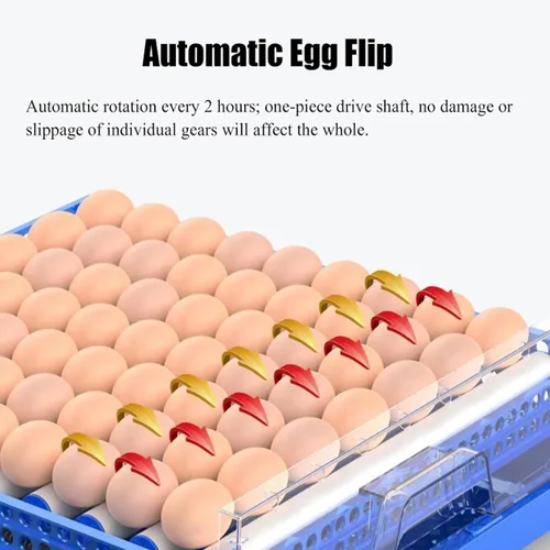 Vista 2 de Generic Incubadora automática de huevos con LED de alta eficiencia, giro automático de huevos y control de temperatura, incubadoras de huevos