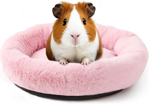 Vista 12 de FEBSNOW Cama de conejillo de indias y hámster para animales pequeños con cepillo removedor de pelo