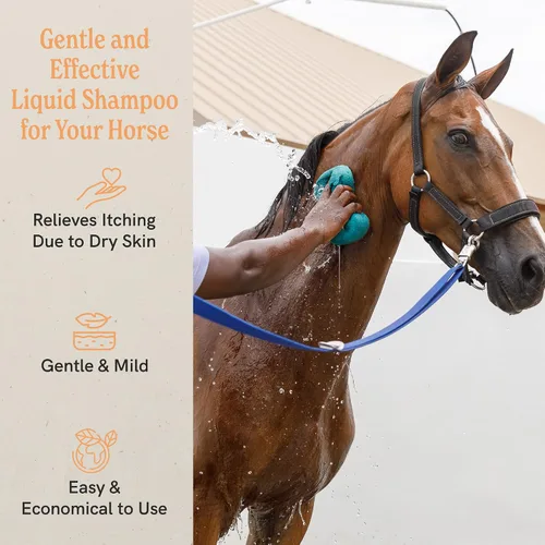 Vista 3 de J·R·LIGGETT'S Champú líquido de caballo botánico para pieles sensibles Fórmula de champú biodegradable hipoalergénico para caballos 100%