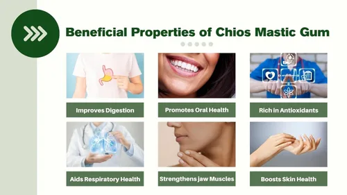 Vista 3 de Chios Mastiha Tears - Paquetes de masilla griega 100% natural de cultivadores de masilla (lágrimas medianas de 0.88 oz)