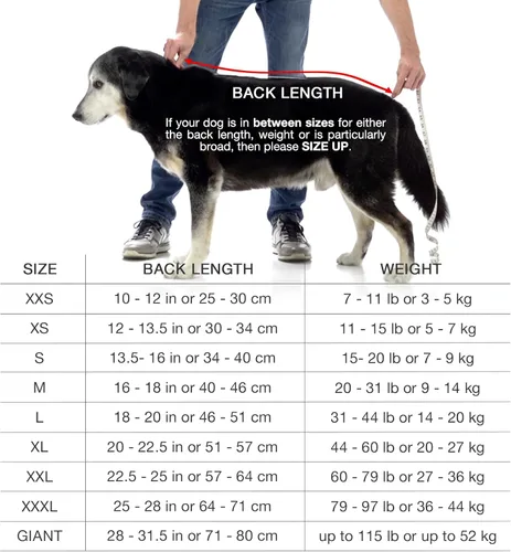 Vista 5 de Lucky Pooch® Bata de baño para perro, lujosa bata de baño para perro, ultra absorbente, ¡seca a tus perros en minutos! Doble capa, toalla súper Ámbar