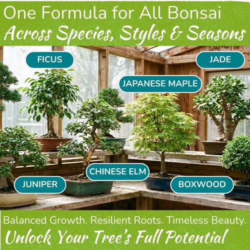 Vista 5 de Alimento para árbol bonsái Fertilizante líquido suave de primera calidad para un crecimiento saludable, tallos fuertes y hermosas floraciones