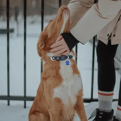 Vista 2 de LINMAGCO Collar reflectante personalizado para perro con campanas, estilo de cuero suave, resistente y ajustable, con placa de identificación Azul