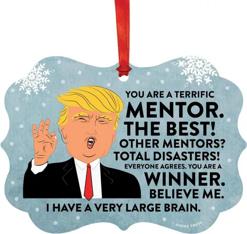 Vista 116 de Andaz Press Presidente Donald Trump Fancy Frame Recuerdo Adorno de Navidad Regalo de broma, excelente contador, 1 paquete, divertidas ideas
