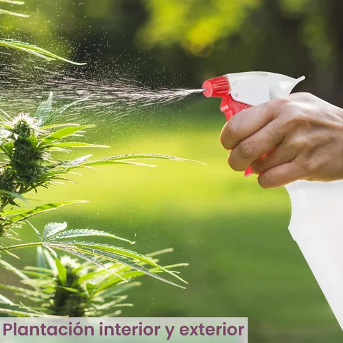 Vista 6 de DilaBee Botella de spray de plástico (paquete de 2) – Botellas de spray vacías de 16 onzas para limpieza, jardinería y parrilla – Botella de spray