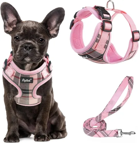 Vista 76 de PUPTECK Juego de arnés y correa de malla suave para perro, cachorro y gato, cómodo chaleco acolchado sin tirones, azul Pascua, S