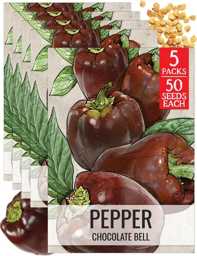 Vista 20 de Seed Needs - Semillas de pimiento arcoíris para plantar verduras, 1 paquete