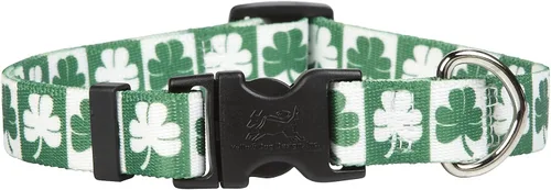 Vista 2 de Yellow Dog Design Collar de perro irlandés Glass Is Half Full para cuello de 14 a 20 pulgadas, mediano de 1 pulgada de ancho