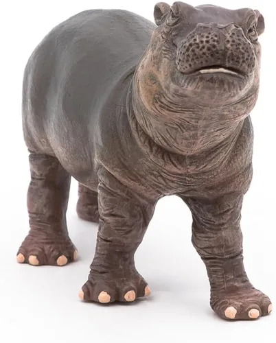 Vista 5 de Papo - Figura realista de hipopótamo bebé - A partir de 3 años - Colección Wild Life - Juego educativo de animales jóvenes - Juguete de idea