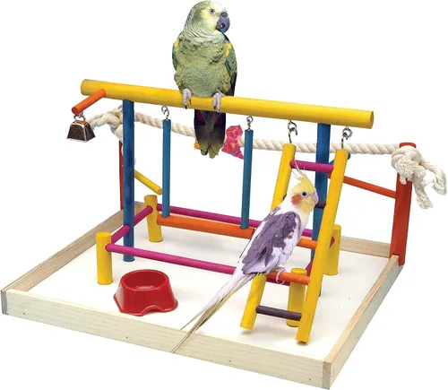 Vista 9 de Penn-Plax Centro de Actividades para Aves – Perfecto para Aves Jóvenes o Pequeñas