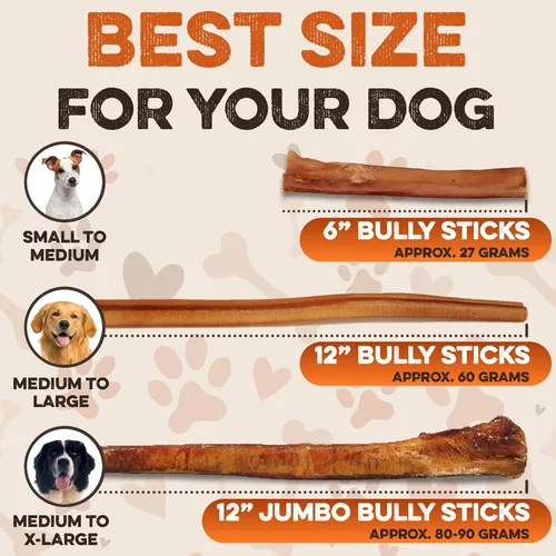 Vista 4 de BRUTUS & BARNABY Bully Sticks para Perros, 6" – Bajo a Sin Olor, Alimentados con Pasto, Masticables Sin Cuero Crudo para Masticadores Agresivos