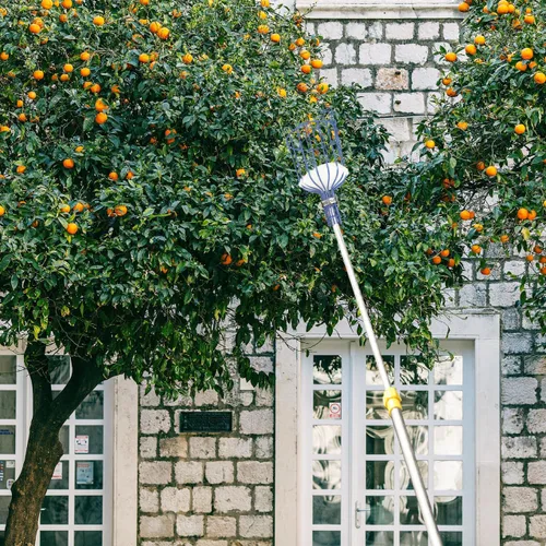 Vista 4 de 1 herramienta multifuncional para cosechadora de frutas ligera con diseño desmontable para Apple eficiente para trabajadores de huertos