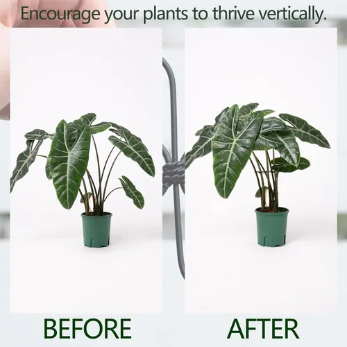 Vista 3 de Yohsnor Monstera - Gancho de soporte para plantas, 4.1 x 4.1 pulgadas, 5 unidades, sistema de soporte de tallo ajustable duradero, protección suave