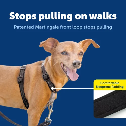 Vista 4 de Arnés PetSafe 3 en 1, de los fabricantes del arnés Easy Walk, XS