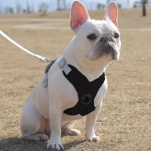 Vista 6 de FEimaX Arnés para perro con marco en X para mascotas, sin tirones, juego de correa, ajustable, reflectante, sin estrangulamiento, para cachorros