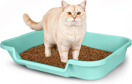 Vista 38 de KittyGoHere - Caja de arena para gatos mayores con cuchara, arena de playa