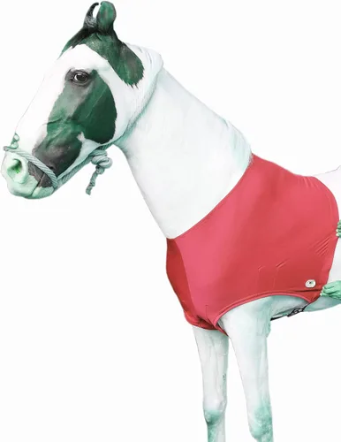 Vista 10 de Majestic Ally Protector de hombro de caballo de elastano/elastano elástico en 4 direcciones para y protección, grande, color negro