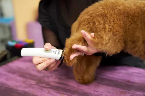 Vista 8 de Wahl Vetiva - Mini recortadora veterinaria inalámbrica profesional para perros, gatos y mascotas (#88420), para gatos, perros y más, grado