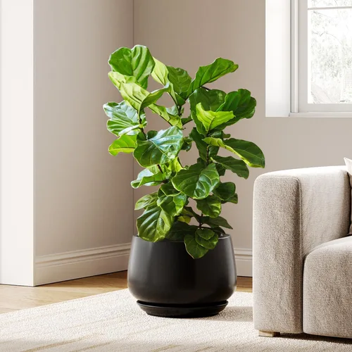 Vista 11 de LE TAUCI Macetas de cerámica, juego de 2, macetas de 10 + 12 pulgadas, macetas elegantes para plantas de interior, maceta resistente con orificio