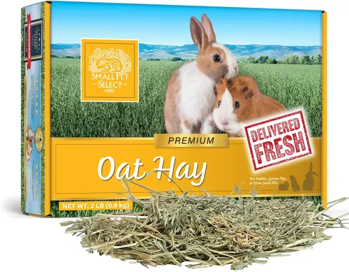 Vista 7 de Small Pet Select Alimento para mascotas con heno de avena, 10 libras.