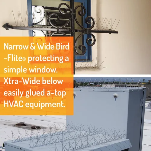 Vista 8 de Bird Barrier Bird-Flite - Espigas para pájaros de acero inoxidable
