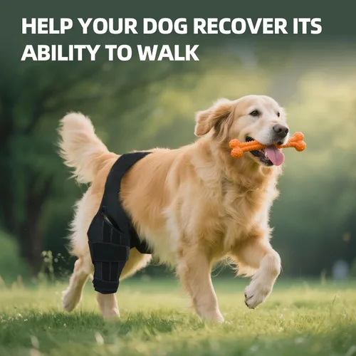 Vista 4 de Rodillera para perro para pierna trasera desgarrada del ACL, soporte ajustable para cadera de perro para pierna trasera con estabilizadores