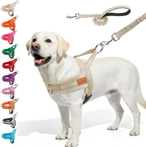 Vista 63 de BEAUTYZOO Arnés para Perros Pequeños, Juego de Arnés y Correa sin Tirones, Arnés de Pecho para Cachorros a Prueba de Escapes con Mango, Arnés Beige