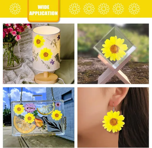 Vista 4 de 60 girasoles secos prensados amarillos para adornos de manualidades, flores secas naturales de 1.2 pulgadas, margarita grande para joyería