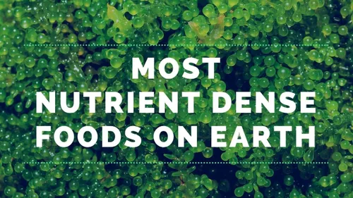 Vista 4 de Espirulina cultivada en Estados Unidos Espirulina Vegana Proteína Limpia Pura Orgánica Espirulina Nutrientes Densa Sin Gluten Superalimento Vaso