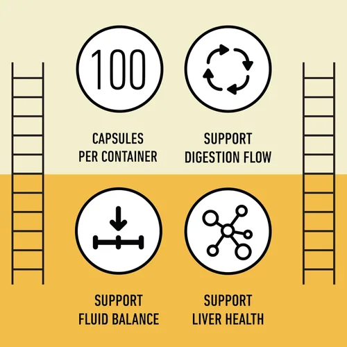 Vista 8 de Complete Natural Products Cápsulas de raíz de diente de león puras y orgánicas - Cápsulas de 600 mg 100 píldoras Raíz de diente de león seca