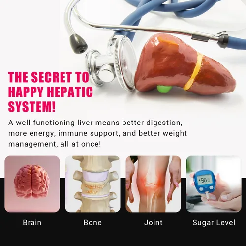 Vista 4 de Ancient Bliss Liver Love - Suplemento natural de desintoxicación hepática y salud hepática de cardo mariano - Apoya el hígado saludable en hombres
