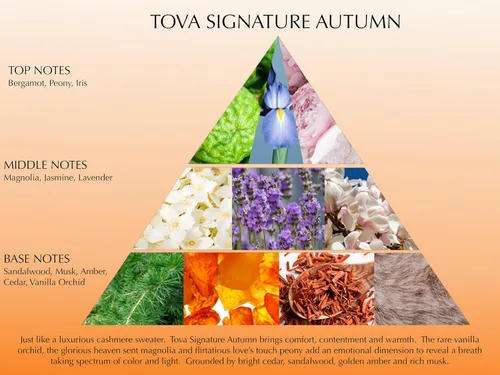 Vista 5 de Tova Signature Autumn Body Velvet Loción – Crema corporal botánica nutritiva para mujeres – Aroma floral ámbar – Hecho en Estados Unidos y libre
